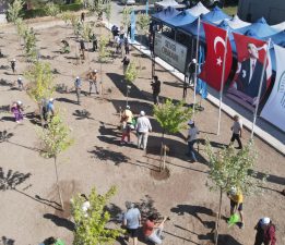 Odunpazarı’ndan Sevgi Ormanı