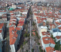 Hamamyolu Caddesi’nde ağaç budama çalışması başlıyor