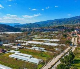 SARICAKAYA ALTIN MADENİ PROJESİ’NE  YARGI ENGELİ