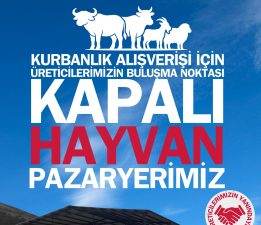 KURBANLIK ALIŞVERİŞİ İÇİN ÜRETİCİLERİMİZİN BULUŞMA NOKTASI