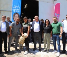 ÜRETİCİYE CAN SUYU OLACAK DAMIZLIK KOÇLAR TESLİM EDİLDİ