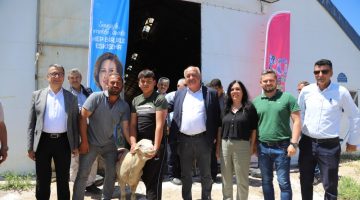 ÜRETİCİYE CAN SUYU OLACAK DAMIZLIK KOÇLAR TESLİM EDİLDİ